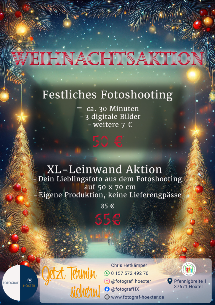 Plakat web Weihnachten 2024