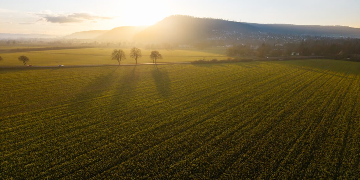 Landschaftsbild aus Höxter